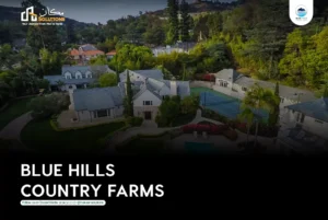 Read more about the article Blue Hills Country Farms | Payment Plan